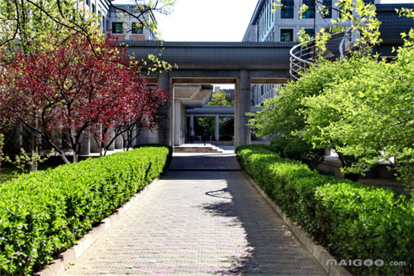 振华重工获得实用新型专利授权：“一种岸桥门框结构及岸边集装箱起重机”