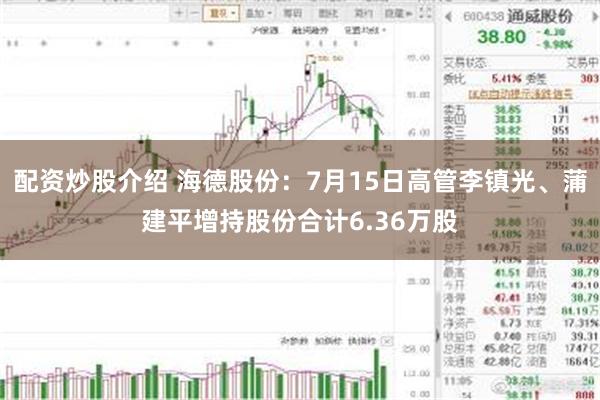 配资炒股介绍 海德股份：7月15日高管李镇光、蒲建平增持股份合计6.36万股