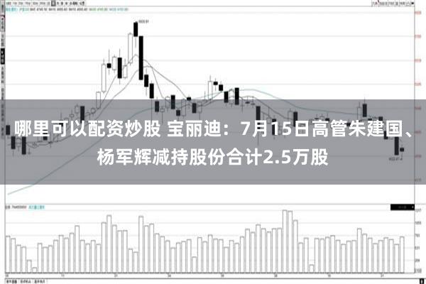哪里可以配资炒股 宝丽迪：7月15日高管朱建国、杨军辉减持股份合计2.5万股
