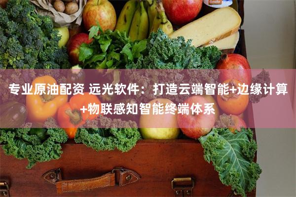 专业原油配资 远光软件：打造云端智能+边缘计算+物联感知智能终端体系