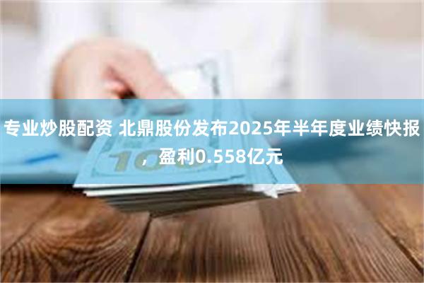 专业炒股配资 北鼎股份发布2025年半年度业绩快报，盈利0.558亿元