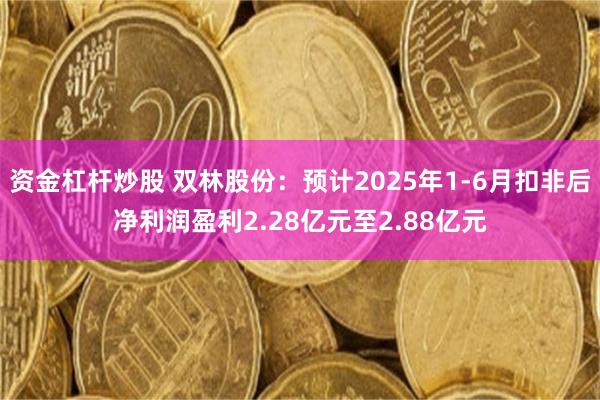 资金杠杆炒股 双林股份：预计2025年1-6月扣非后净利润盈利2.28亿元至2.88亿元
