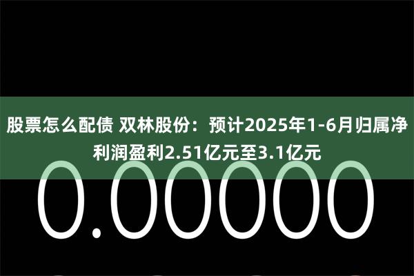 股票怎么配债 双林股份：预计2025年1-6月归属净利润盈利2.51亿元至3.1亿元