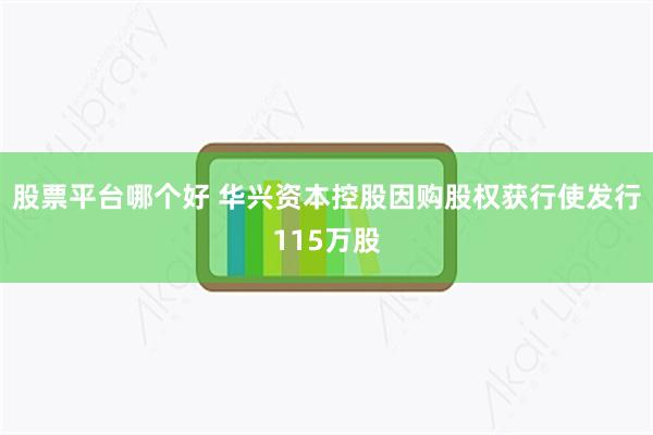股票平台哪个好 华兴资本控股因购股权获行使发行115万股