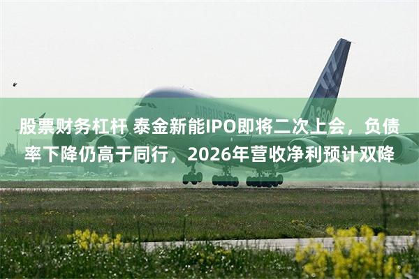 股票财务杠杆 泰金新能IPO即将二次上会,负债率下降仍高于同行,2026年营收净利预计双降