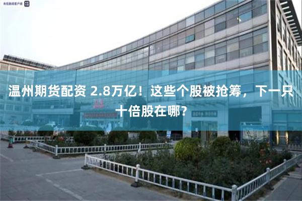 温州期货配资 2.8万亿！这些个股被抢筹，下一只十倍股在哪？