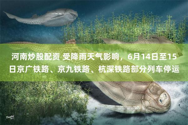 河南炒股配资 受降雨天气影响,6月14日至15日京广铁路、京九铁路、杭深铁路部分列车停运