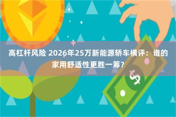 高杠杆风险 2026年25万新能源轿车横评:谁的家用舒适性更胜一筹?