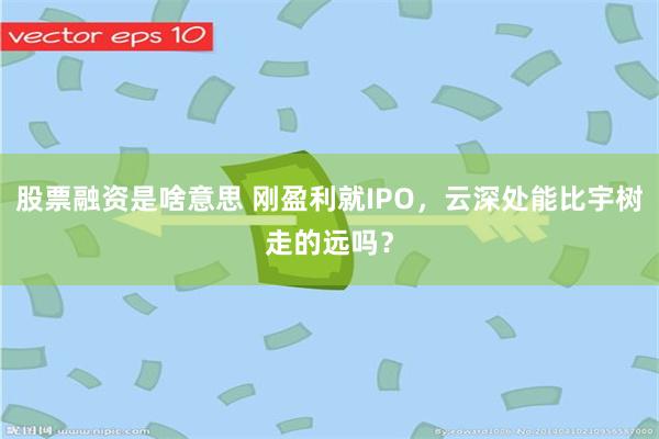 股票融资是啥意思 刚盈利就IPO，云深处能比宇树走的远吗？