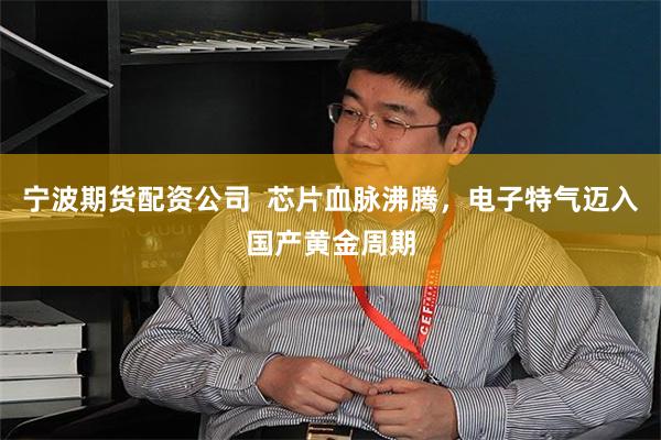 宁波期货配资公司 芯片血脉沸腾,电子特气迈入国产黄金周期