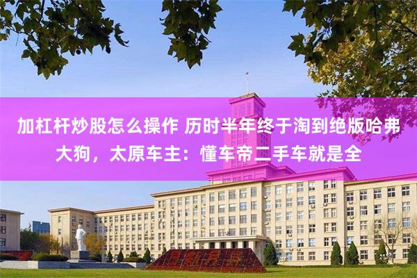 加杠杆炒股怎么操作 历时半年终于淘到绝版哈弗大狗,太原车主:懂车帝二手车就是全