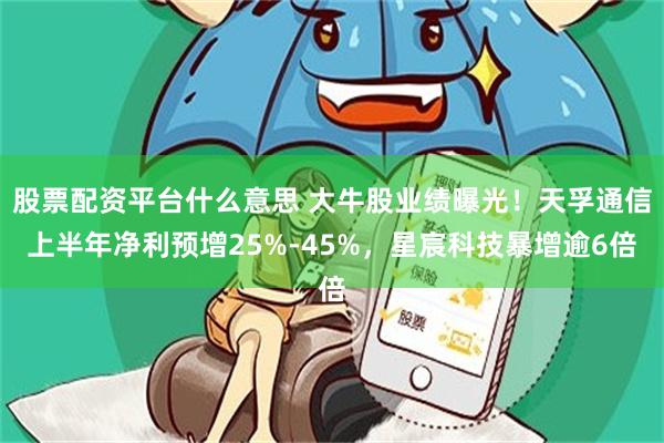 股票配资平台什么意思 大牛股业绩曝光！天孚通信上半年净利预增25%-45%，星宸科技暴增逾6倍