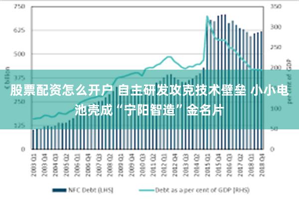 股票配资怎么开户 自主研发攻克技术壁垒 小小电池壳成“宁阳智造”金名片