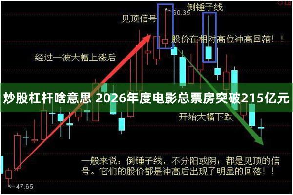炒股杠杆啥意思 2026年度电影总票房突破215亿元