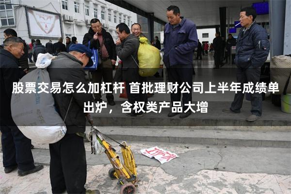 股票交易怎么加杠杆 首批理财公司上半年成绩单出炉，含权类产品大增
