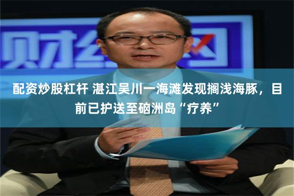 配资炒股杠杆 湛江吴川一海滩发现搁浅海豚，目前已护送至硇洲岛“疗养”