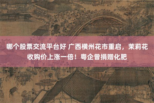 哪个股票交流平台好 广西横州花市重启，茉莉花收购价上涨一倍！粤企曾捐赠化肥
