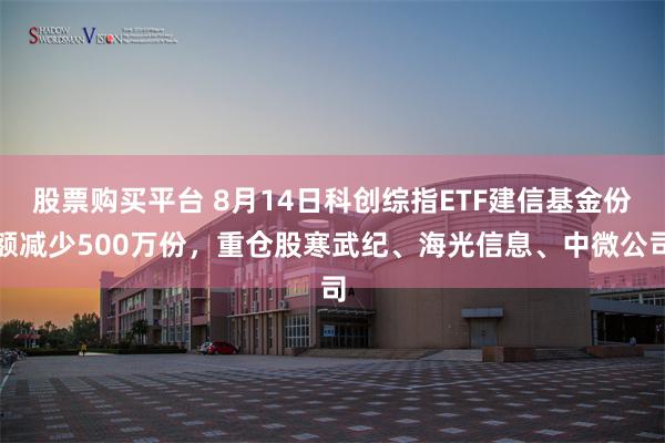 股票购买平台 8月14日科创综指ETF建信基金份额减少500万份，重仓股寒武纪、海光信息、中微公司