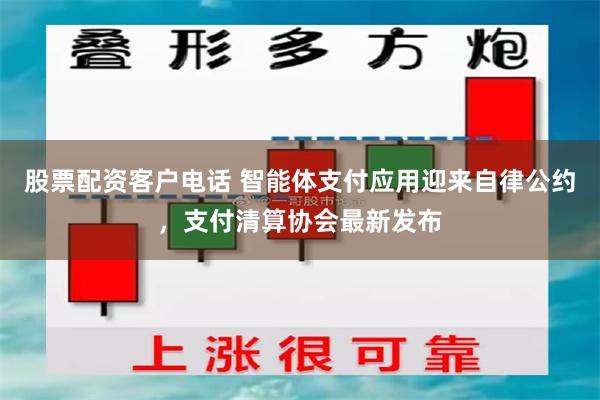 股票配资客户电话 智能体支付应用迎来自律公约,支付清算协会最新发布
