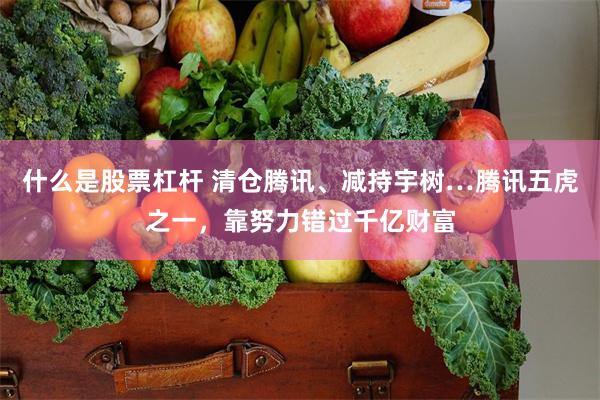 什么是股票杠杆 清仓腾讯、减持宇树…腾讯五虎之一，靠努力错过千亿财富