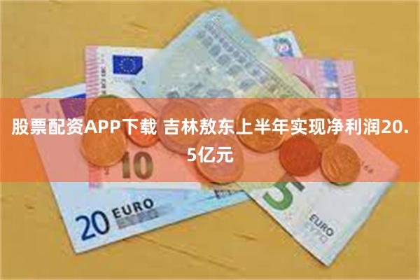 股票配资APP下载 吉林敖东上半年实现净利润20.5亿元